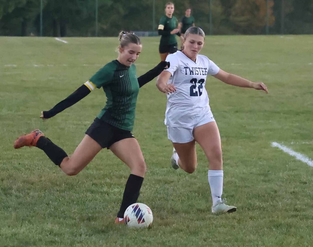 Bulldogs fall in tough semifinal matchup