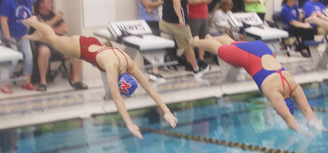 Pioneer, Artie swimmers compete in conference meet