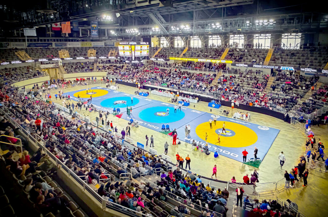 Youthful Pioneers have strong showing at state wrestling finals