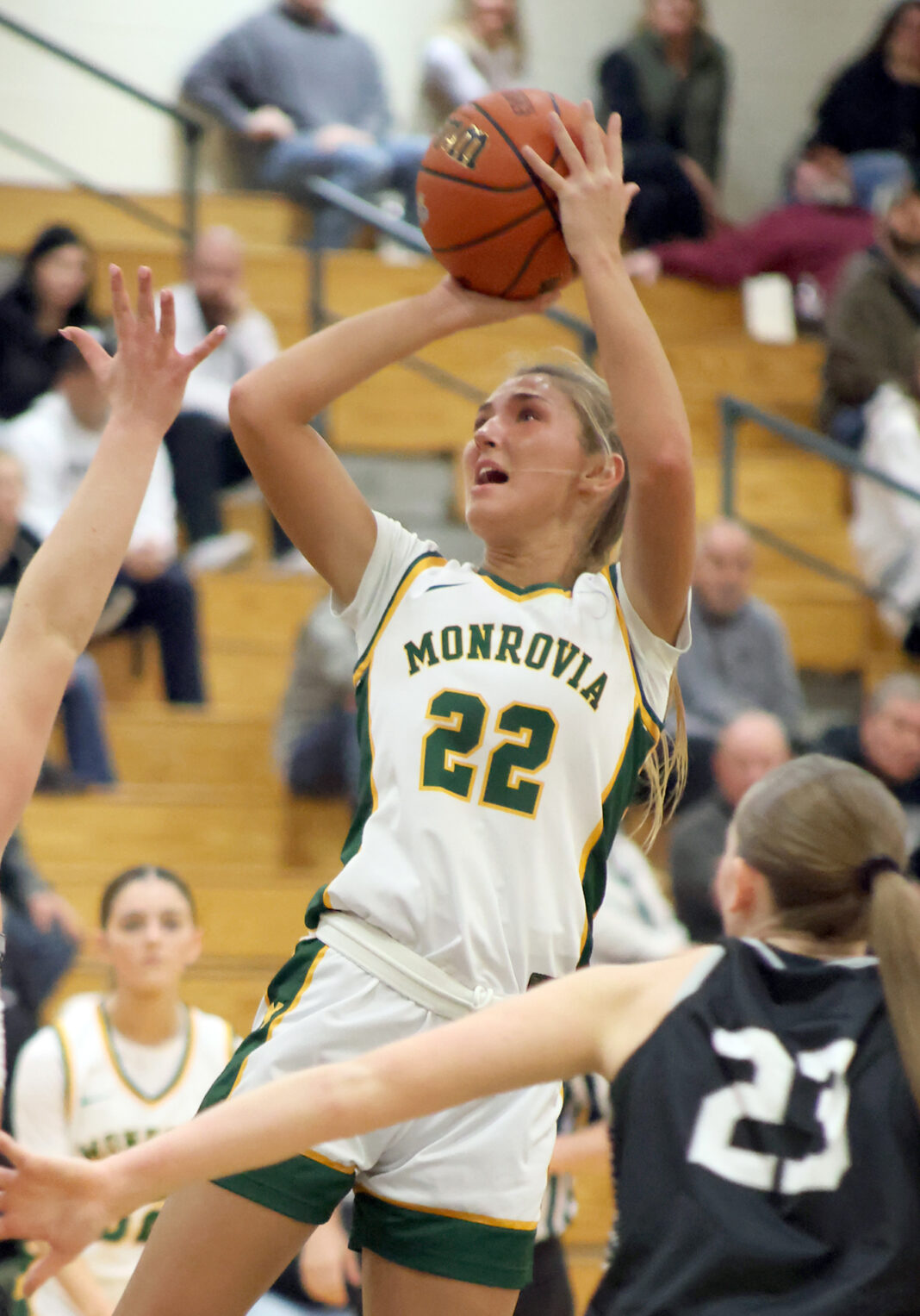 Lady Bulldogs falter late in regional championship