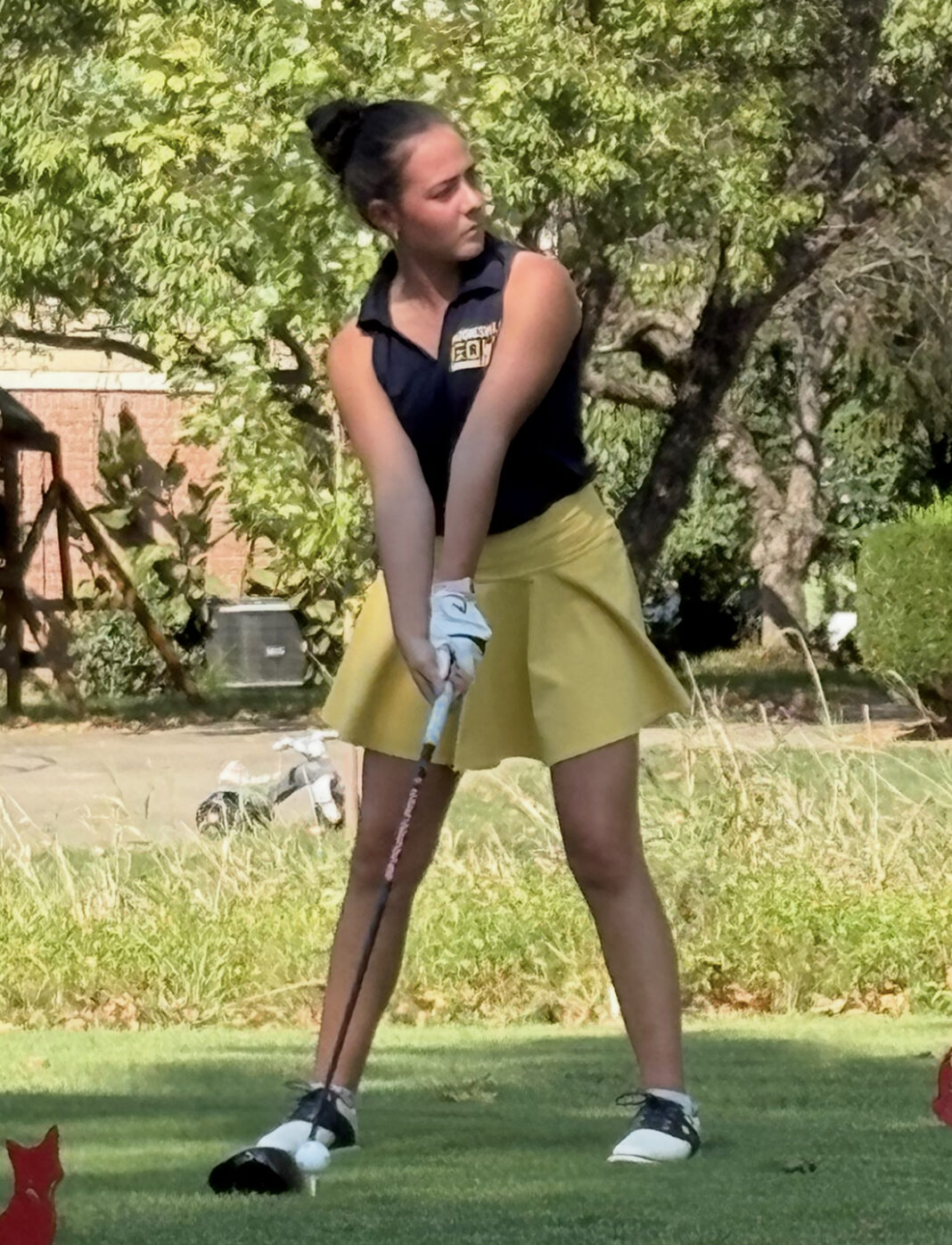 Artesian golfers battle Pioneers at Foxcliff