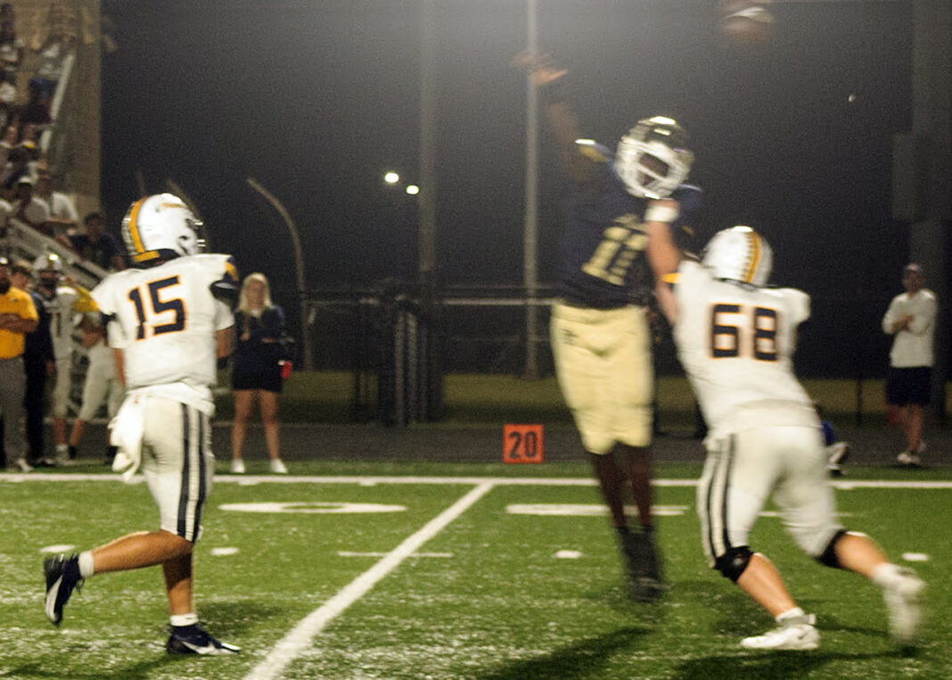 Pioneers battle, but fall to Hawks