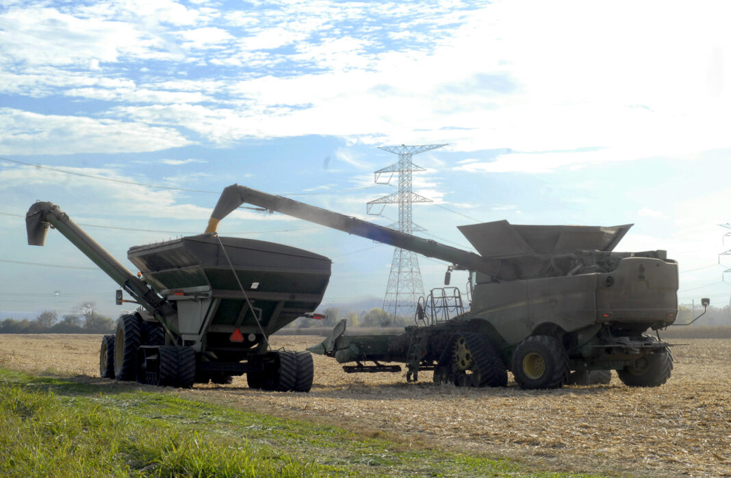 Harvest Time